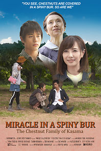 Watch Miracle in Kasama