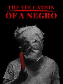 Watch The Education of a Negro