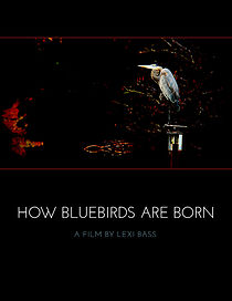 Watch How Bluebirds Are Born