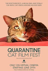 Watch Quarantine Cat Film Fest