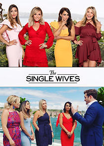Watch The Single Wives