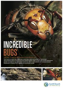 Watch Incredible Bugs