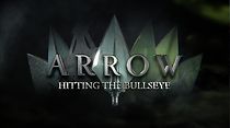 Watch Arrow: Hitting the Bullseye (TV Special 2020)