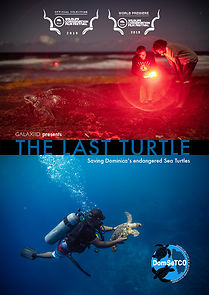 Watch The Last Turtle (Short 2019)