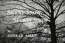Watch Silent Snow, Secret Snow