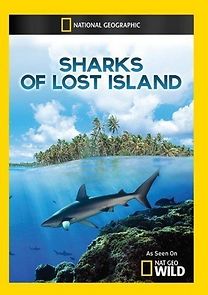 Watch Sharks of Lost Island