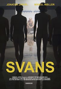 Watch Swans