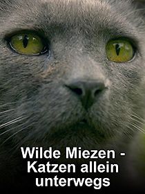 Watch Wilde Miezen - Katzen allein unterwegs