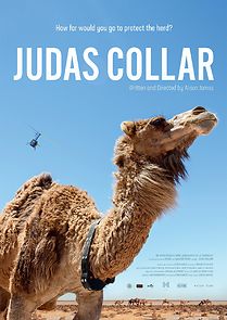 Watch Judas Collar