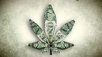 Watch Weed, Greed, and Legalization
