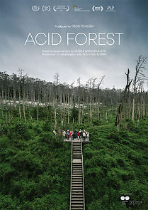 Watch Acid Forest