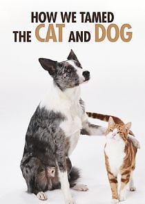 Watch How We Tamed the Cat and Dog