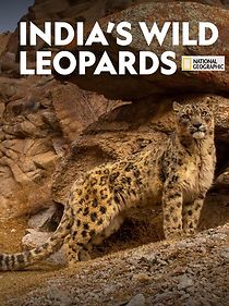 Watch India's Wild Leopards (Short 2020)