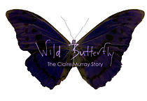 Watch Wild Butterfly