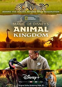 Watch Magic of Disney's Animal Kingdom