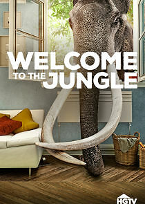 Watch Welcome to the Jungle