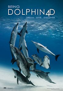 Watch Being Dolphin 4D