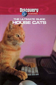 Watch The Ultimate Guide: House Cats