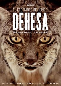 Watch Dehesa, el bosque del lince ibérico