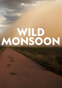 Watch Wild Monsoon