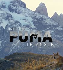Watch Into the Puma Triangle (Short 2020)