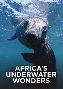 Watch Africa's Underwater Wonders