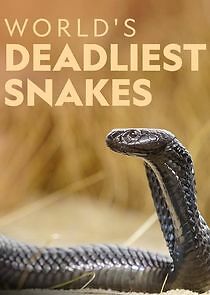 Watch World's Deadliest Snakes