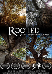 Watch Rooted