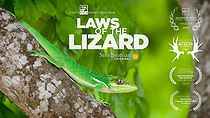 Watch Laws of the Lizard