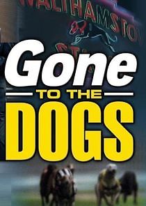 Watch Gone to the Dogs