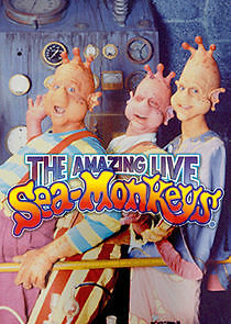 Watch The Amazing Live Sea-Monkeys
