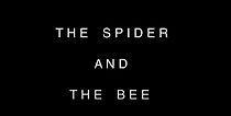 Watch The Spider and the Bee (Short 2020)