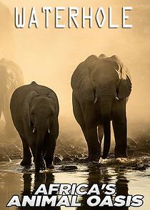 Watch Waterhole: Africa's Animal Oasis