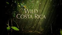 Watch Wild Costa Rica