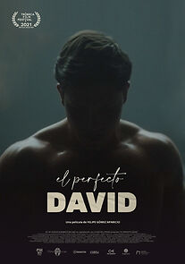 Watch The Perfect David