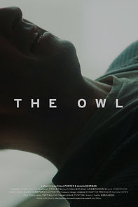 Watch The Owl (Short 2020)