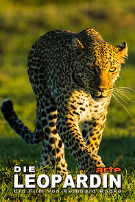 Watch Die Leopardin