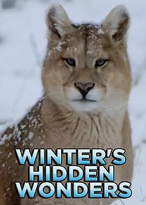 Watch Winter's Hidden Wonders