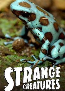 Watch Strange Creatures