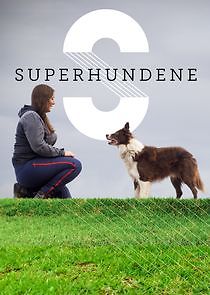 Watch Superhundene