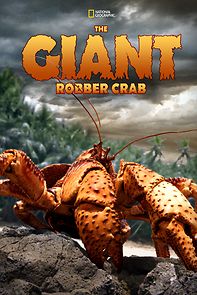 Watch The Giant Robber Crab (Short 2019)