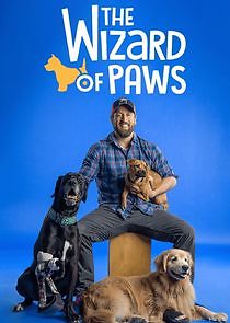 Watch The Wizard of Paws