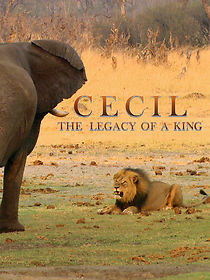 Watch Cecil: The Legacy of a King