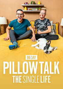 Watch 90 Day Pillow Talk: The Single Life