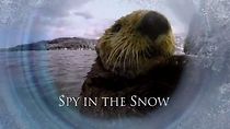 Watch Spy in the Snow