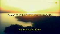 Watch Mysteries of the Rainforest