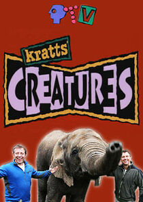 Watch Kratts' Creatures