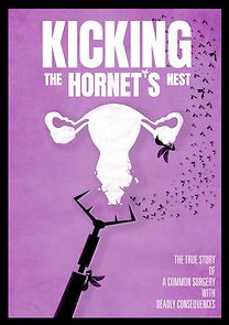 Watch Kicking the Hornet's Nest