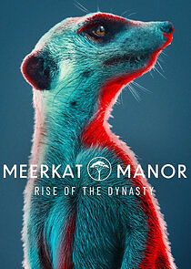Watch Meerkat Manor: Rise of the Dynasty