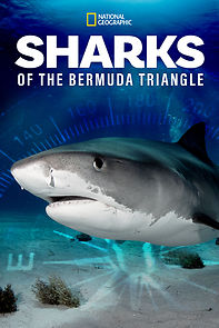 Watch Sharks of the Bermuda Triangle (TV Special 2020)